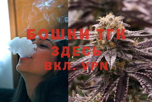 ECSTASY Осинники
