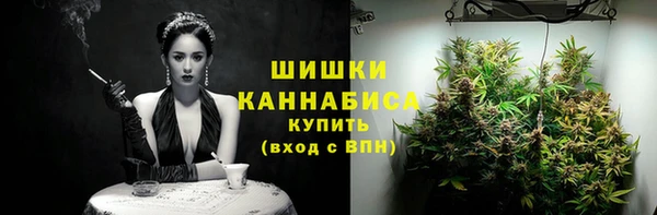 тгк Пестово