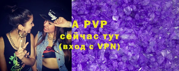 гашик Переславль-Залесский