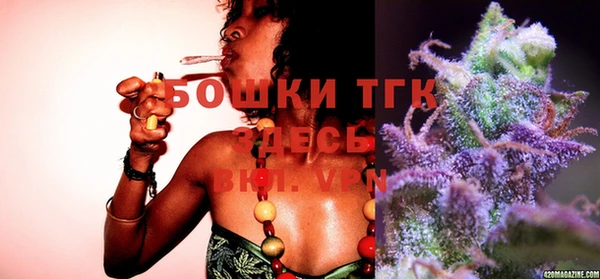 тгк Пестово